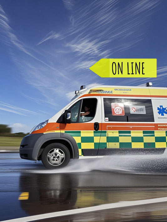 G.S.S.-EVOS GUIDA SICURA SOCCORSO SANITARIO EVOS - (SOLO TEORIA)